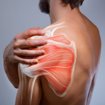 Shoulder Replacement in Gorakhpur