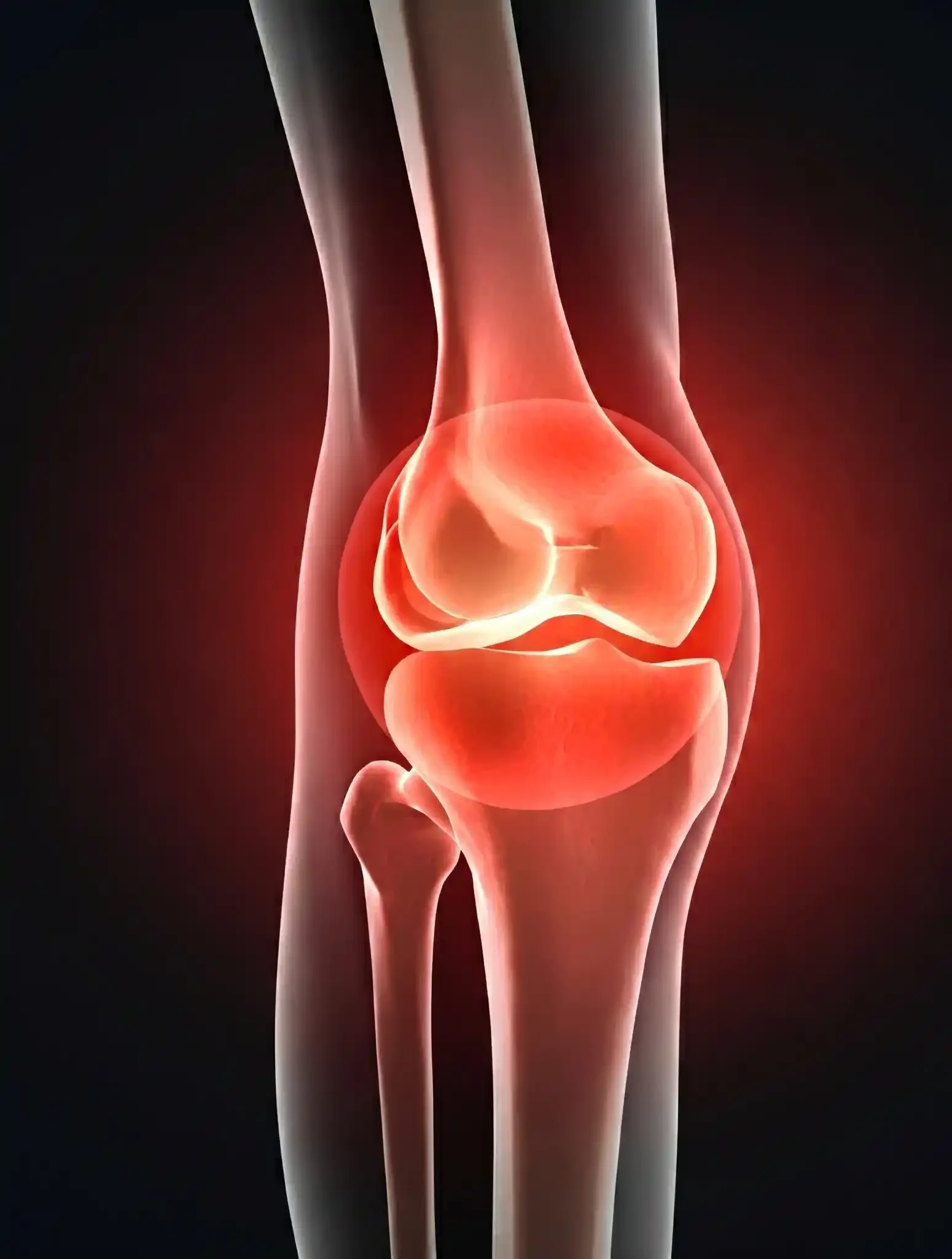 Joint Pain Doctor in Gorakhpur
